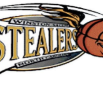 Winston-Salem Stealers